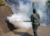 부두,항만 모기…